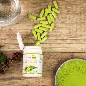 Original japanischer Bio Matcha in der praktischen Kapselform von Matcha Magic